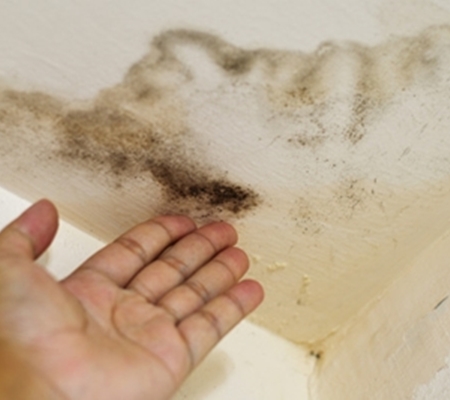 다르다누수탐지 다르다방수공사 PC 이미지 1122151