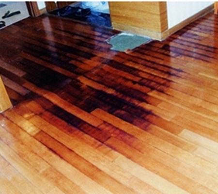 다르다누수탐지 다르다방수공사 PC 이미지 1122153